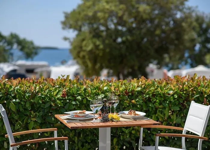 Vacanceselect Premium Polari 3* 로비니