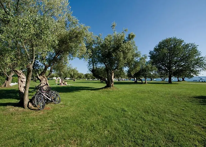 Vacanceselect Premium Polari 로비니